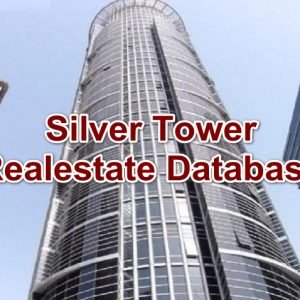 Silver Tower Realestate Database