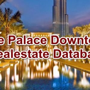 The Palace Downtown Realestate