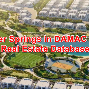 silver springs Real Estate Database