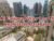 Al Fairooz Villas 1 To 15 Property Owners Seller Data Leads