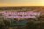 Azalea Property Owners Seller Data Leads in Arabian Ranches