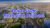 Dubai South Property Owners Seller Data Leads in Dubai