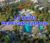 La quinta Property Owners Seller  Data Leads in Dubai