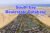 South bay Property Owners Seller Data Leads in Dubai South