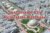 Sustainable City Property Owners Seller Data Leads in Dubailand