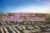 Urbana I II Property Owners Seller Data Leads in Emaar South