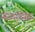 The Palmarosa Residences Data Leads